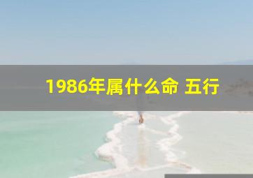 1986年属什么命 五行